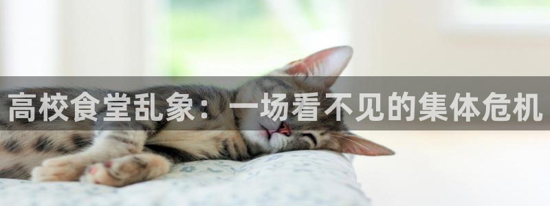 51吃瓜热心张津瑜：高校食堂乱象：一场看不见的集体危机