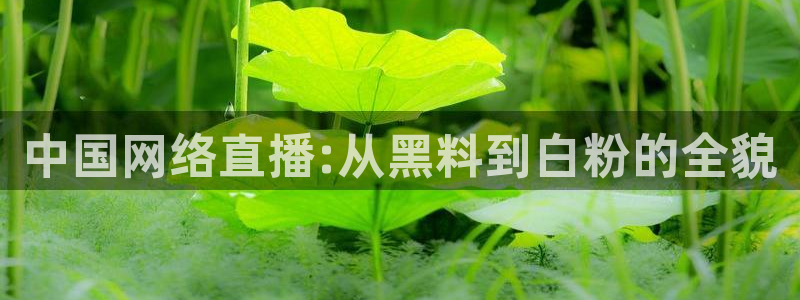 24小时吃瓜不间断