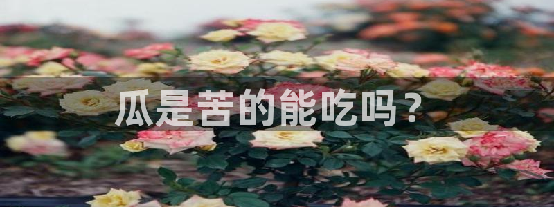 吃瓜吃瓜：瓜是苦的能吃吗？