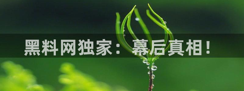 yourport吃瓜网
