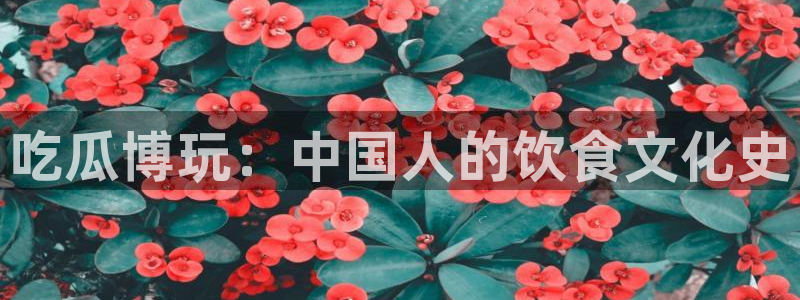 51吃瓜onlyfans网黄：吃瓜博玩：中国人的饮食文化史