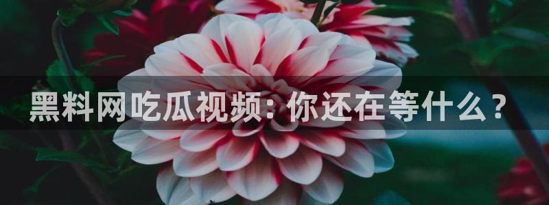 51吃瓜网51cgw：黑料网吃瓜视频: 你还在等什么？
