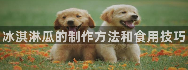 51吃瓜备用线路：冰淇淋瓜的制作方法和食用技巧