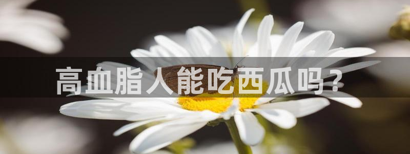 黑料免费：高血脂人能吃西瓜吗？