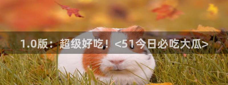吊瓜树的瓜可以吃吗