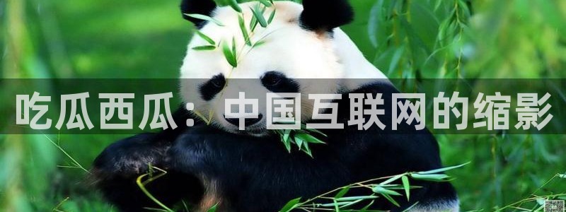 51吃瓜onlyfans网黄：吃瓜西瓜：中国互联网的缩影